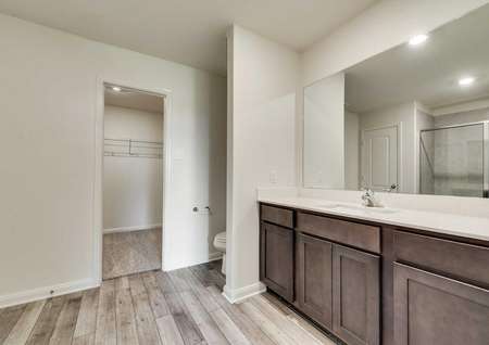 Sabine master bathroom with walk-in closet, wood tile floor, and extra large vanity