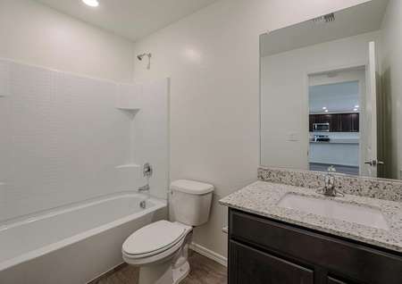 Secondary bathroom with espresso cabinetry and a dual shower and tub. 