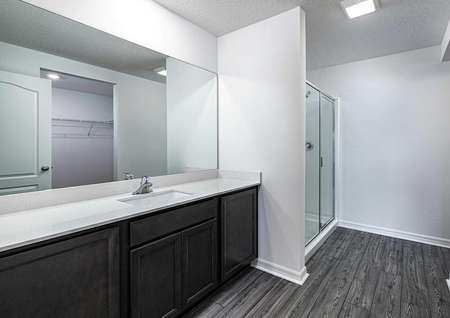 The master bathroom featuring large countertop space, a step-in shower and a walk-in closet. 
