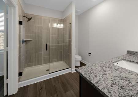 Master bathroom with step in shower and vanity