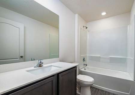 Full bathroom with large countertop space. 