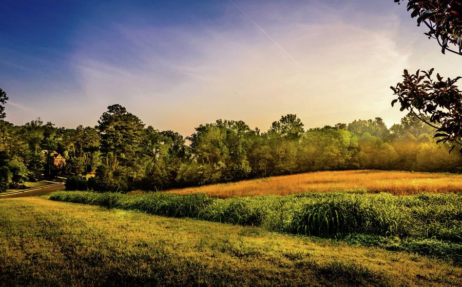 North Carolina meadows near Durham showing rolling tree-lined hills, green grass, and sun setting in the background