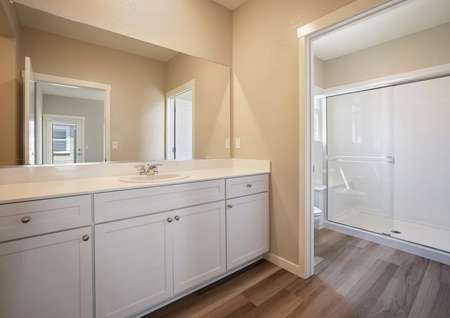 The master bath has a stunning vanity and huge walk-in shower.