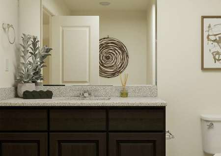 Rendering of the master bath focused on a
  brown cabinet vanity and mirror, with the toilet next to it. 