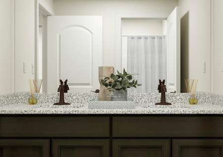 Rendering of the
  full bath focused on a brown cabinet vanity with granite counters. The space
  is decorated with a tray holding a plant and perfume bottle.