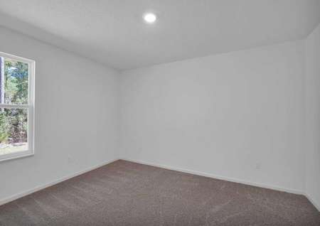 Spare bedroom with carpeted floors and a large window. 
