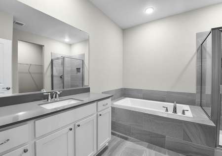 Master bathroom with soaking tub and step-in shower with a large vanity