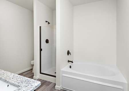 The master bathroom has a sperate bathtub and step-in shower
